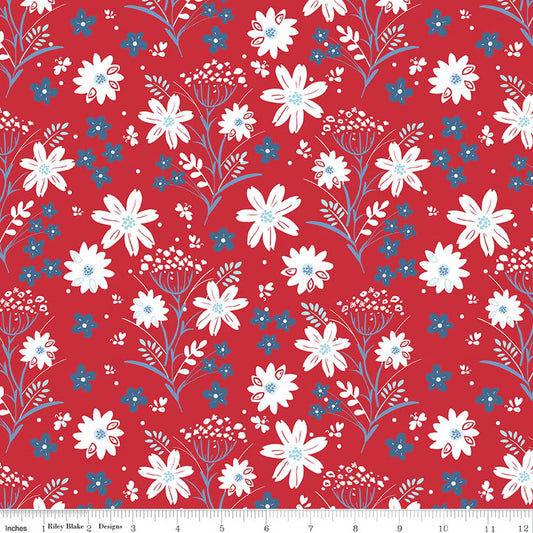 Firework Fields Main Red